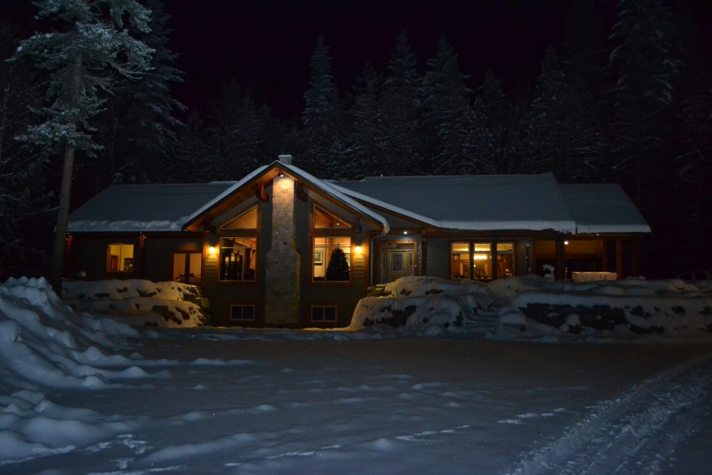 Night Shot