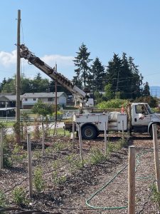 electrical panel upgrade vernon
